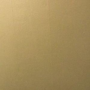 Meet your Posher, Arlin